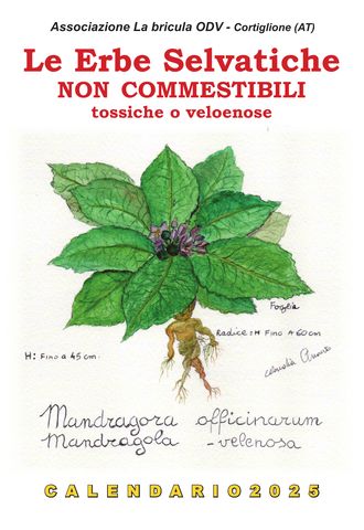 Copertina del calendario 2025: Le erbe selvatiche velenose