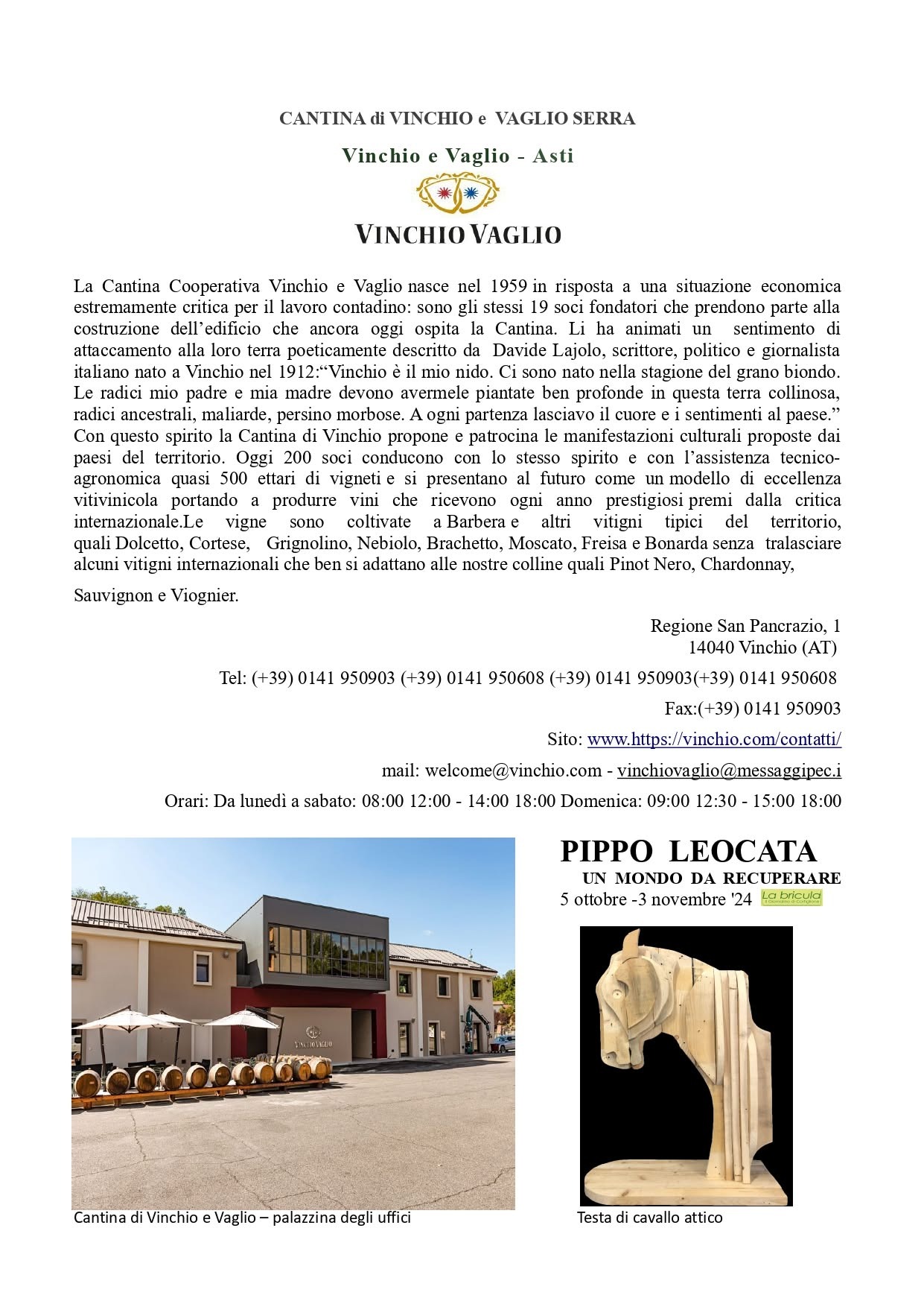 Scheda della Cantina di Vinchio e Vaglio Serra